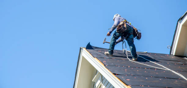 Best Storm Damage Roof Repair  in Seis Lagos, TX