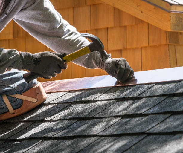 Best Roof Gutter Cleaning  in Seis Lagos, TX